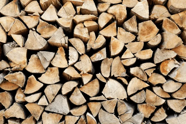 Livraison de bûche à Mont-Saint-Aignan : restez au chaud cet hiver