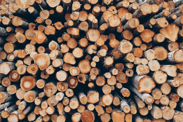 Livraison de bûche à Bois-Guillaume : la solution écologique et pratique pour un hiver douillet